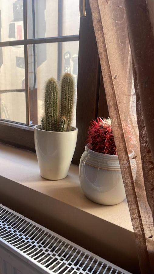 Guesthouse 12A 普里什蒂纳 外观 照片
